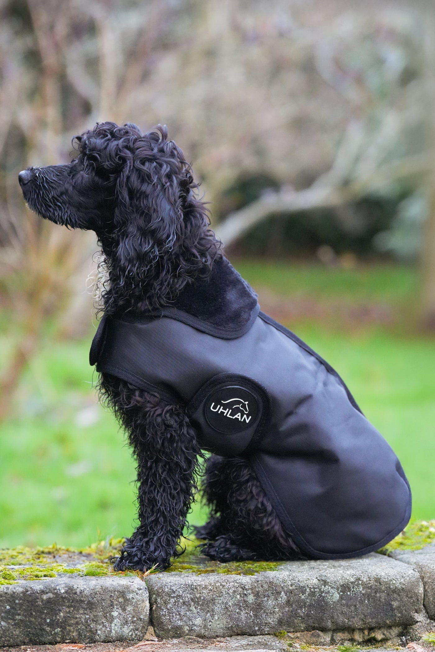 Black Waterproof Dog Coat