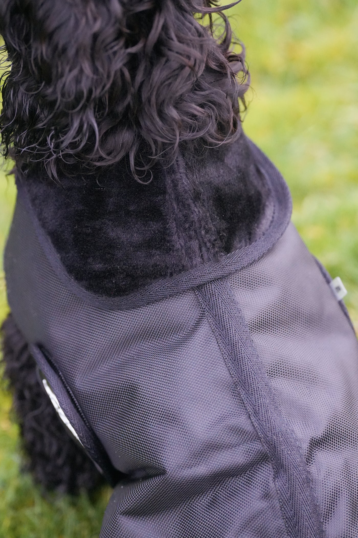 Black Matching Horse And Dog Waterproof Rug