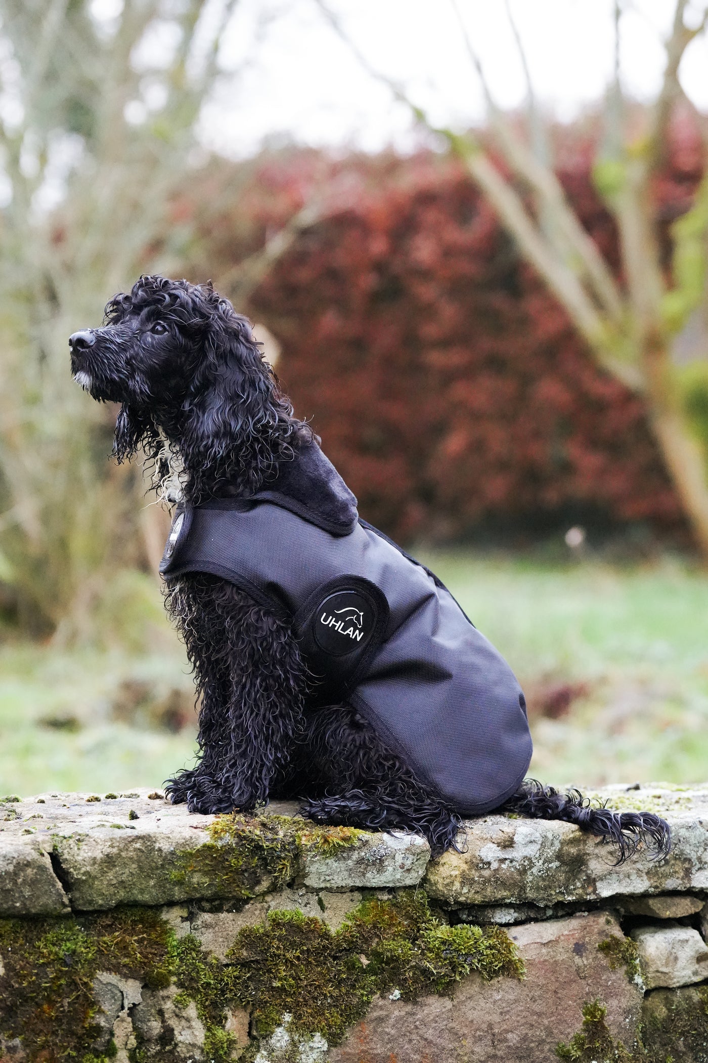 Black Matching Horse And Dog Waterproof Rug