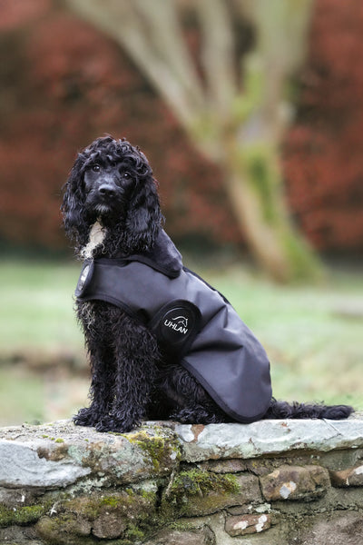 Black Matching Horse And Dog Waterproof Rug