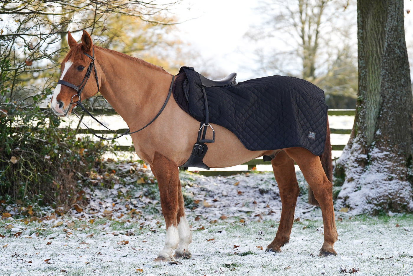 Excerice Sheet Rug Horse Exercise Sheet Rug Ride on rug 160g Fur Lining – Uhlan