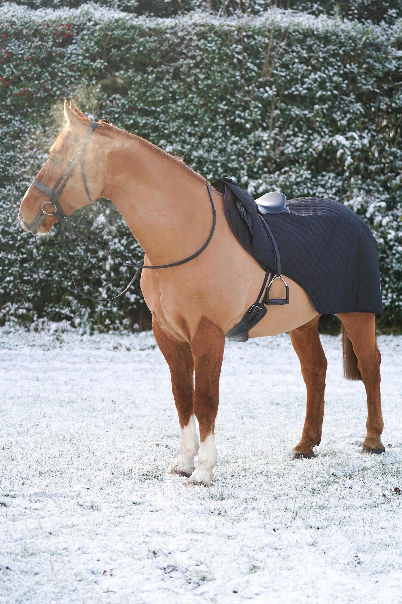 Quilted Exercise Rug Horse Exercise Sheet Rug Ride on rug 160g Fur Lining – Uhlan