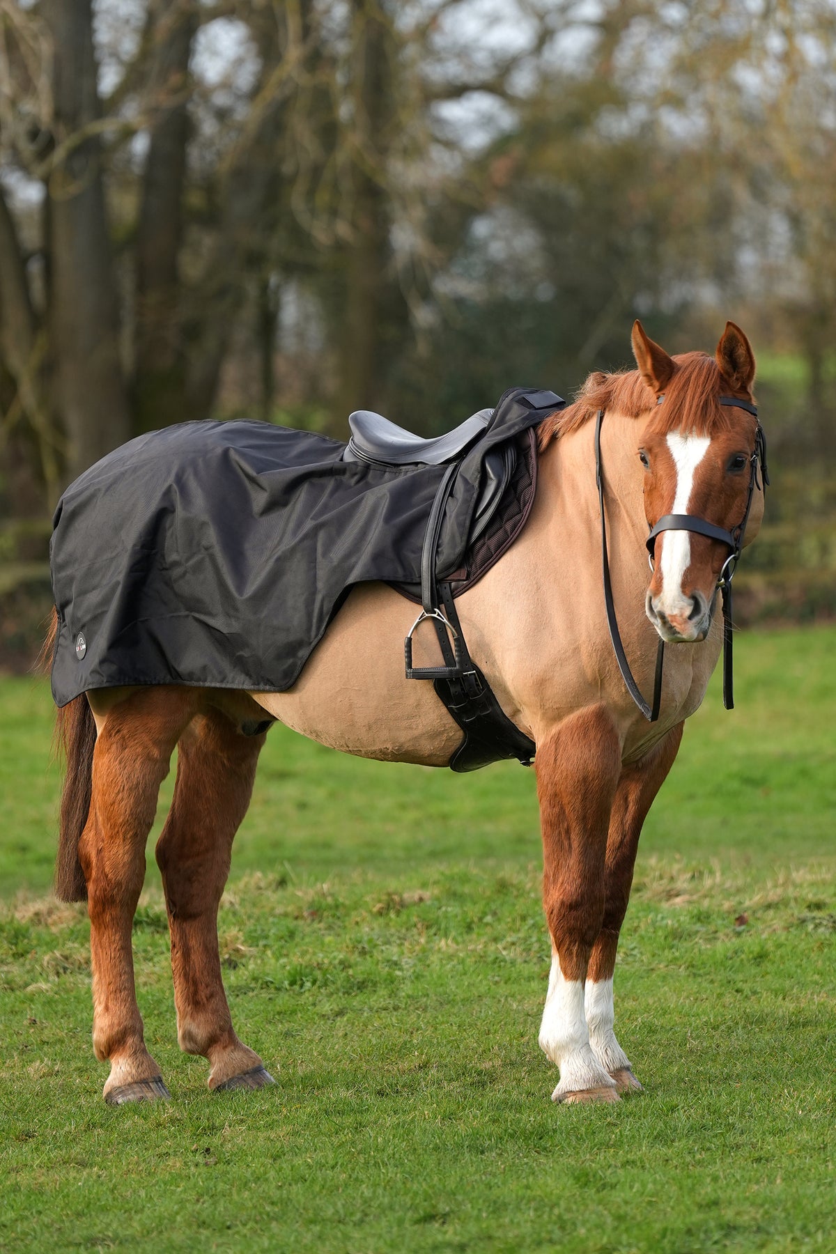 Exercise Rug Horses Horse Exercise Sheet Rug Ride on rug Fur Lining Waterproof – Uhlan