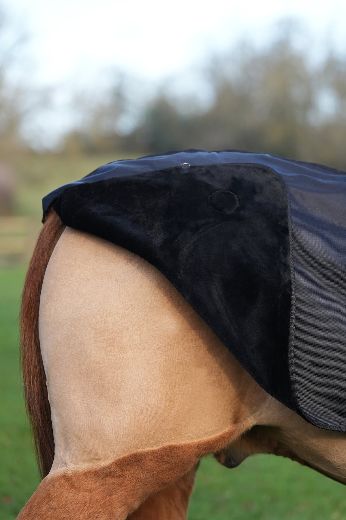 Excerice Sheet Rug Horse Exercise Sheet Rug Ride on rug Fur Lining Waterproof – Uhlan