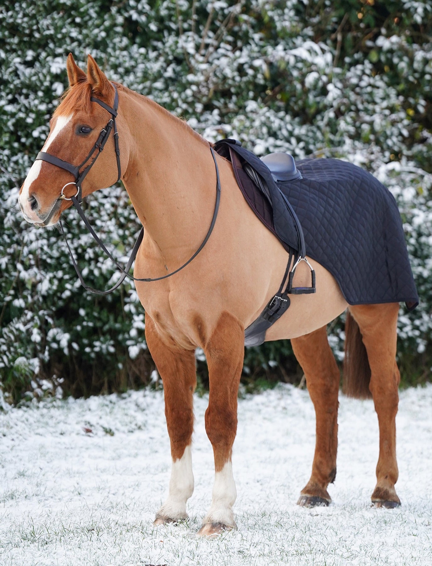 Exercise Rug Horses Horse Exercise Sheet Rug Ride on rug 160g Fur Lining – Uhlan