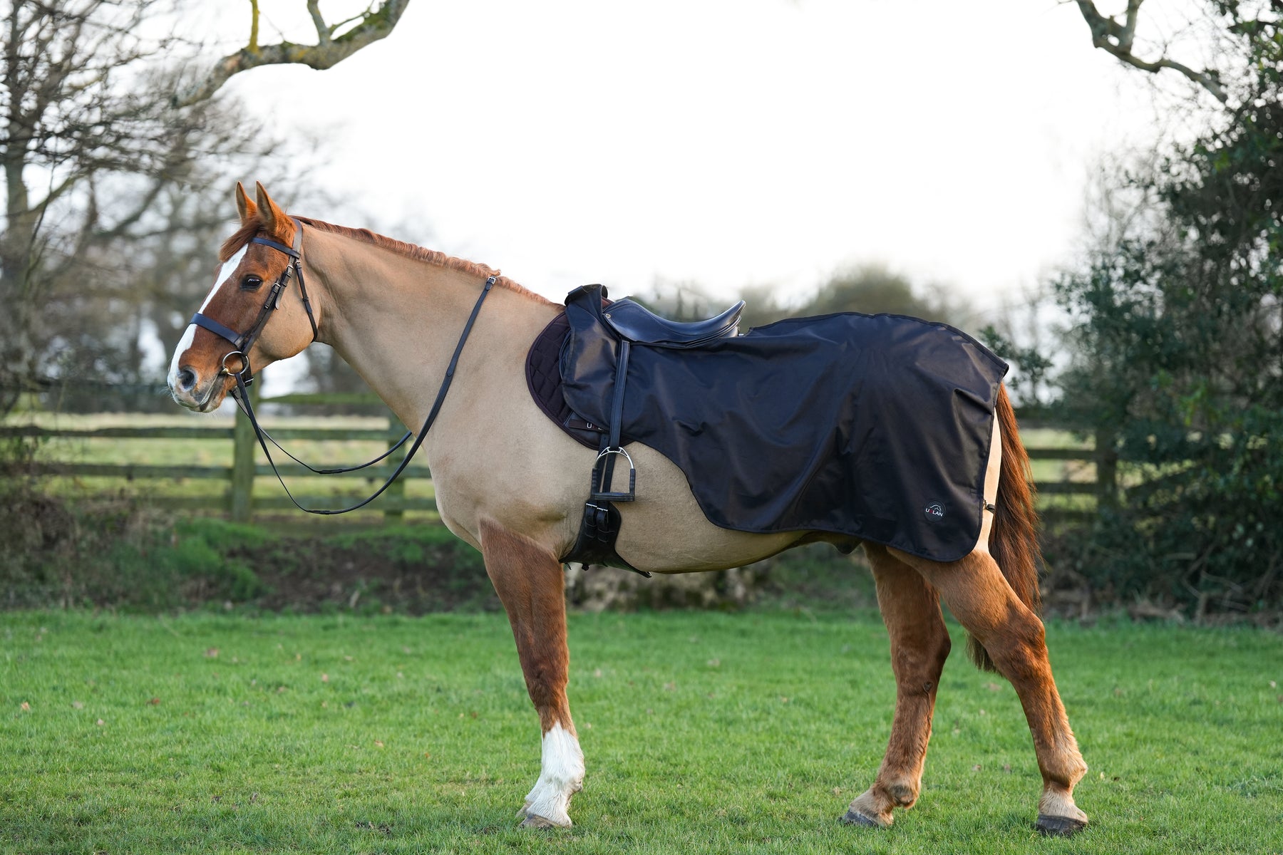 Horse Exercise Sheet Rug Ride on rug Fur Lining Waterproof – Uhlan