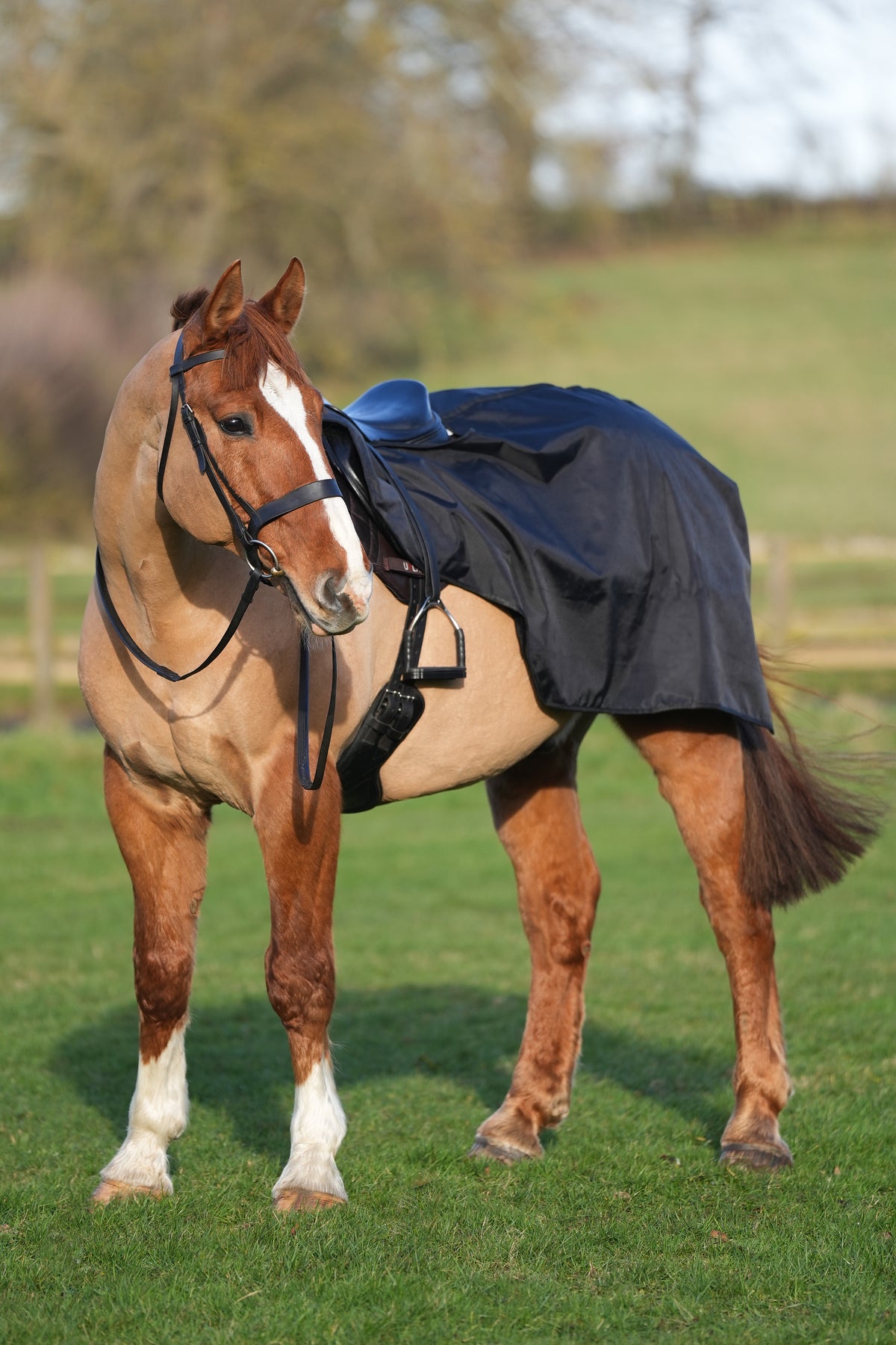 Riding Rug Horse Exercise Sheet Rug Ride on rug Fur Lining Waterproof – Uhlan