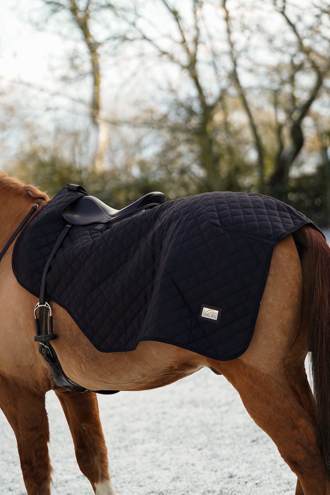 Excerice Sheet Rug Horse Exercise Sheet Rug Ride on rug 160g Fur Lining – Uhlan