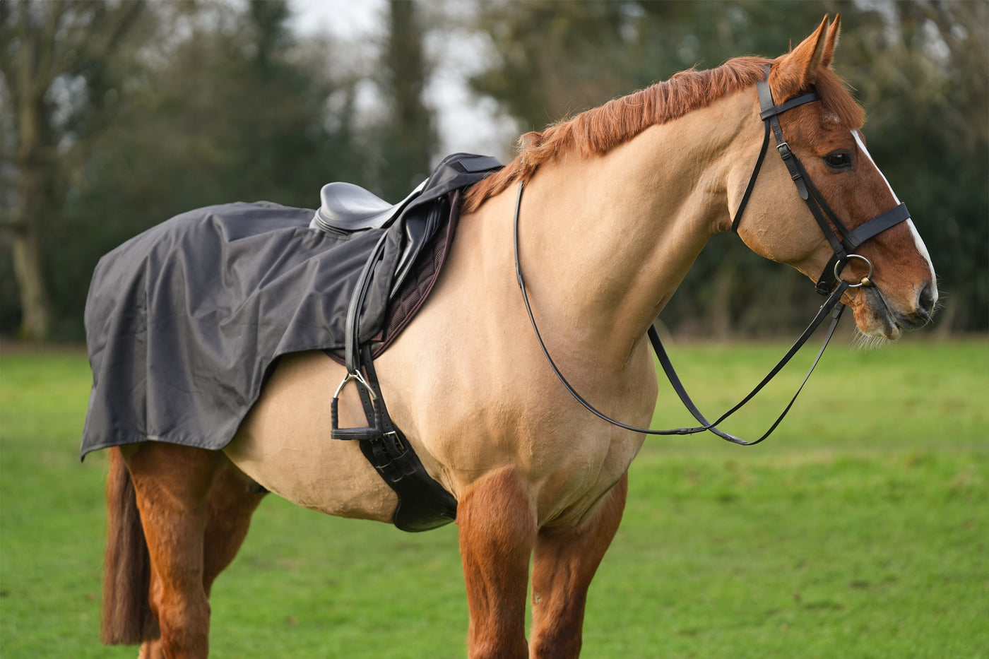 Excerice Sheet Rug Horse Exercise Sheet Rug Ride on rug Fur Lining Waterproof – Uhlan