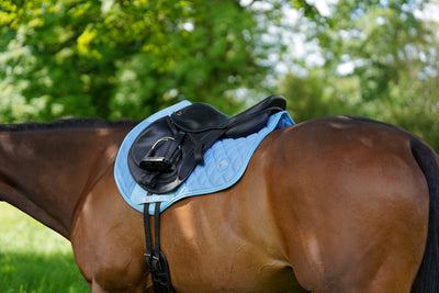 Baby Blue Airflow Saddle Pad GP/Jump + Fly Veil Bundle