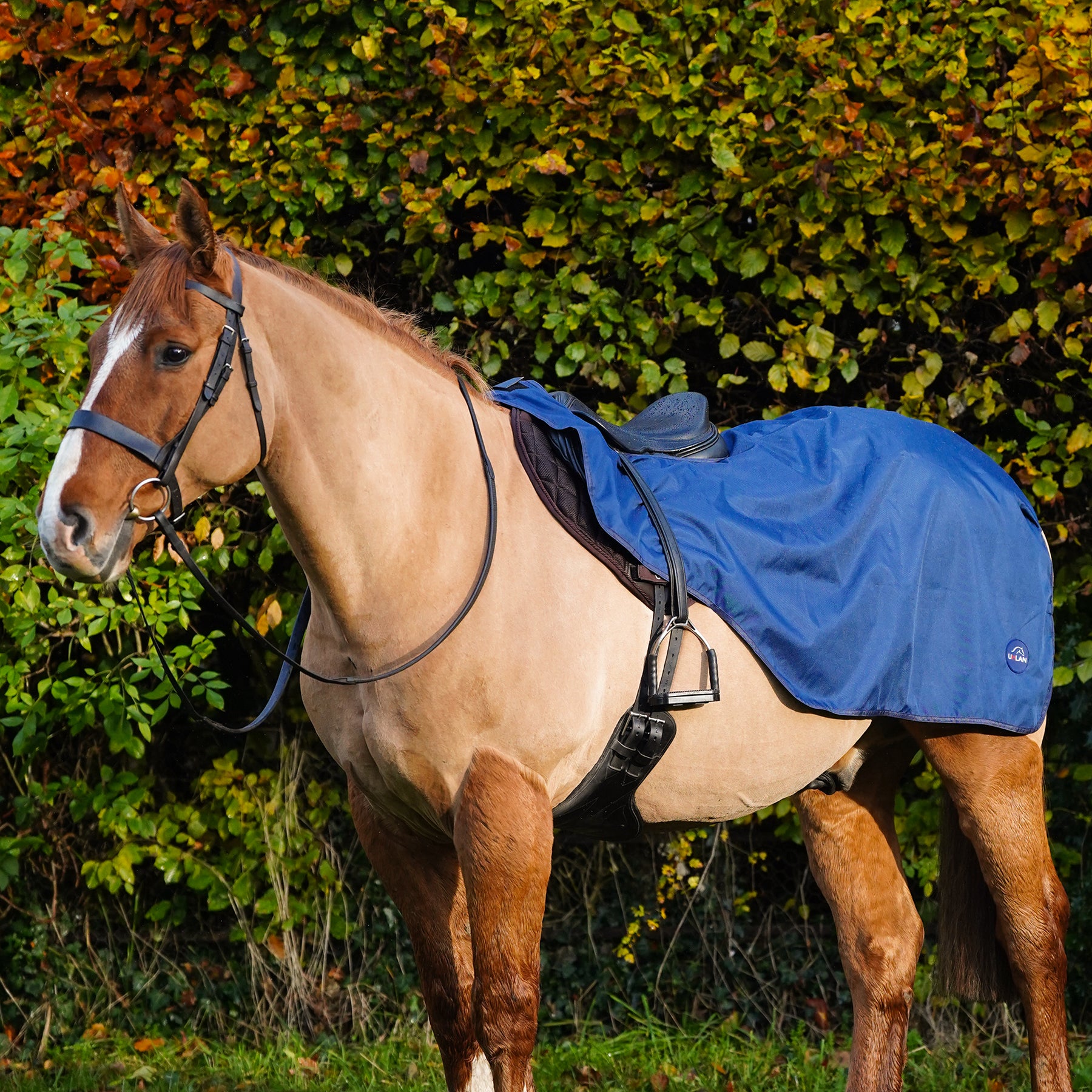Excerice Sheet Rug Horse Exercise Sheet Rug Ride on rug Fur Lining Waterproof – Uhlan