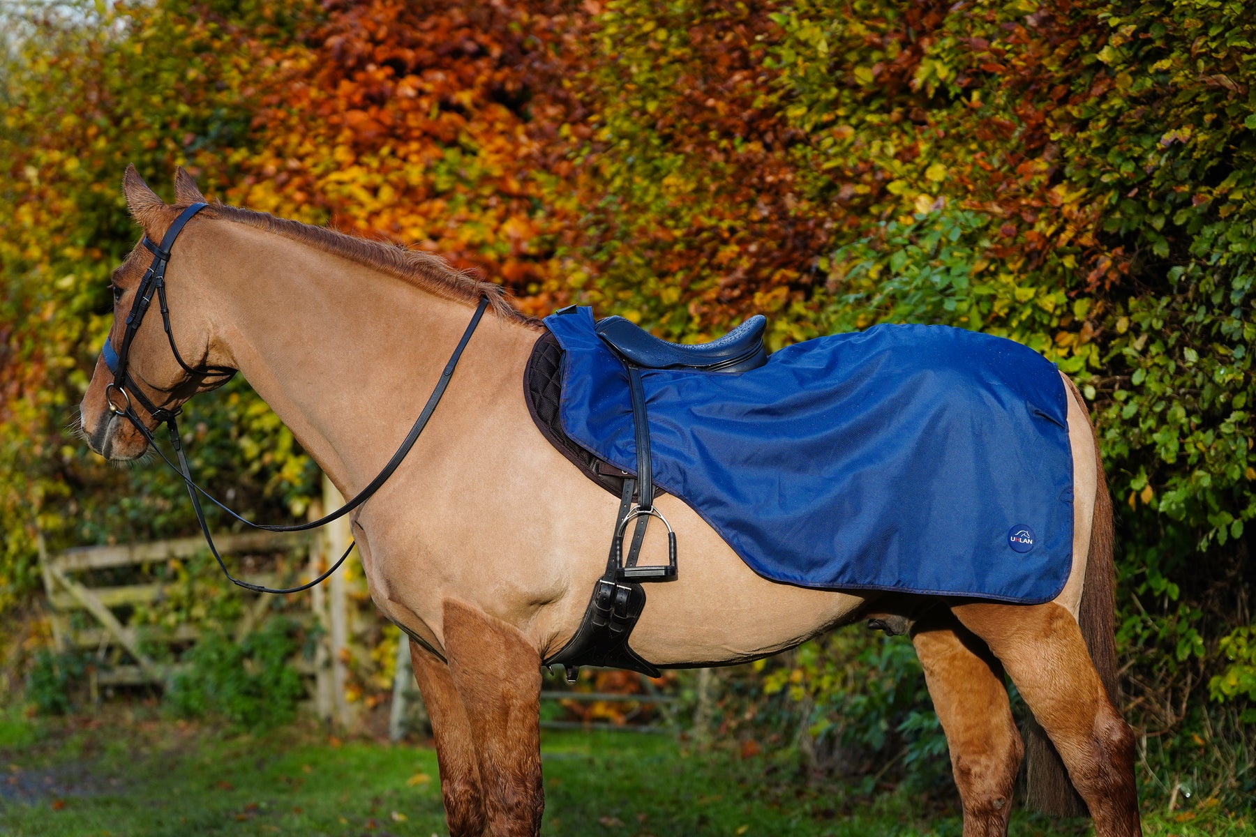 Excerice Sheet Rug Horse Exercise Sheet Rug Ride on rug Fur Lining Waterproof – Uhlan