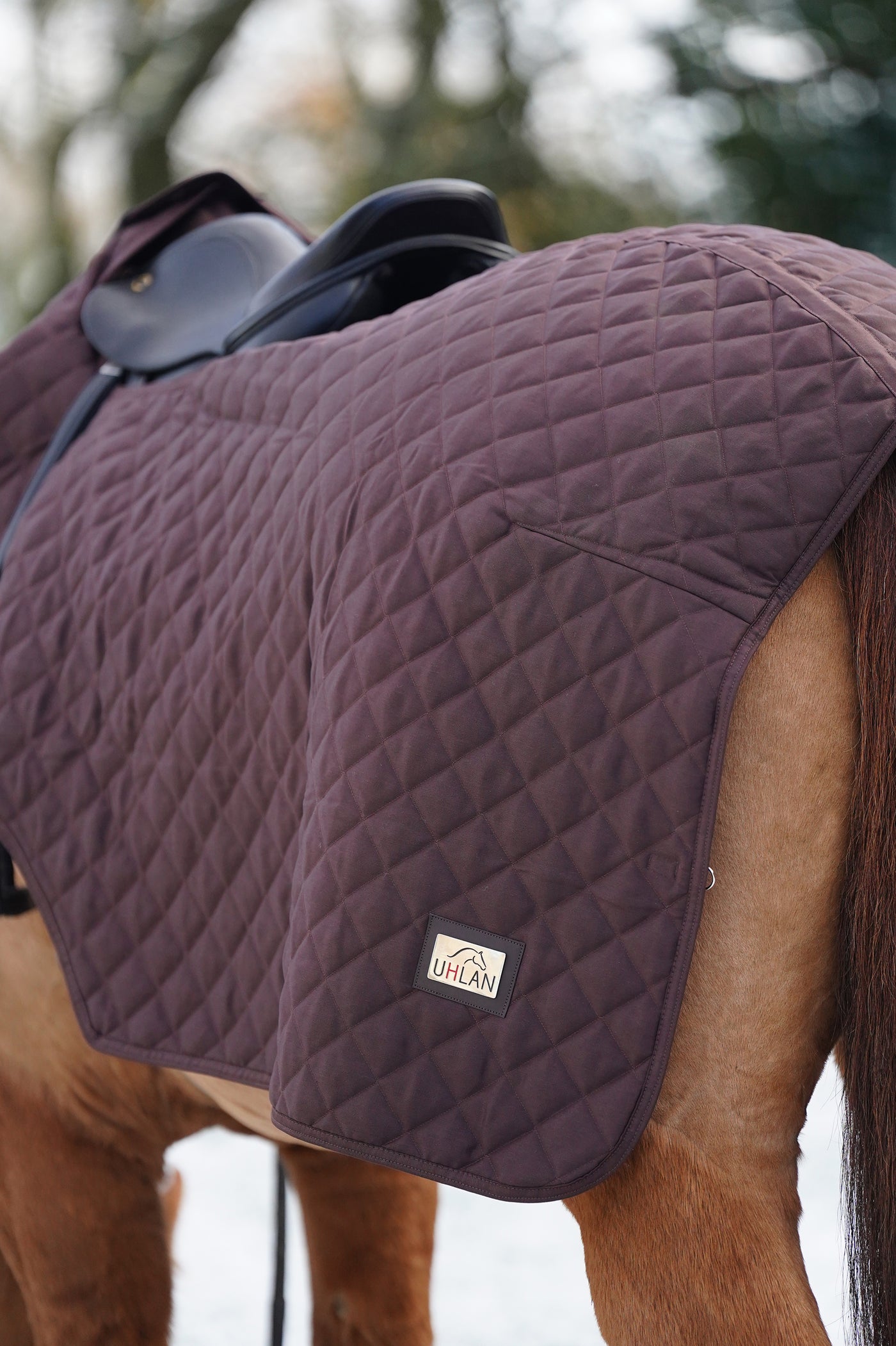 Excerice Sheet Rug Horse Exercise Sheet Rug Ride on rug 160g Fur Lining – Uhlan