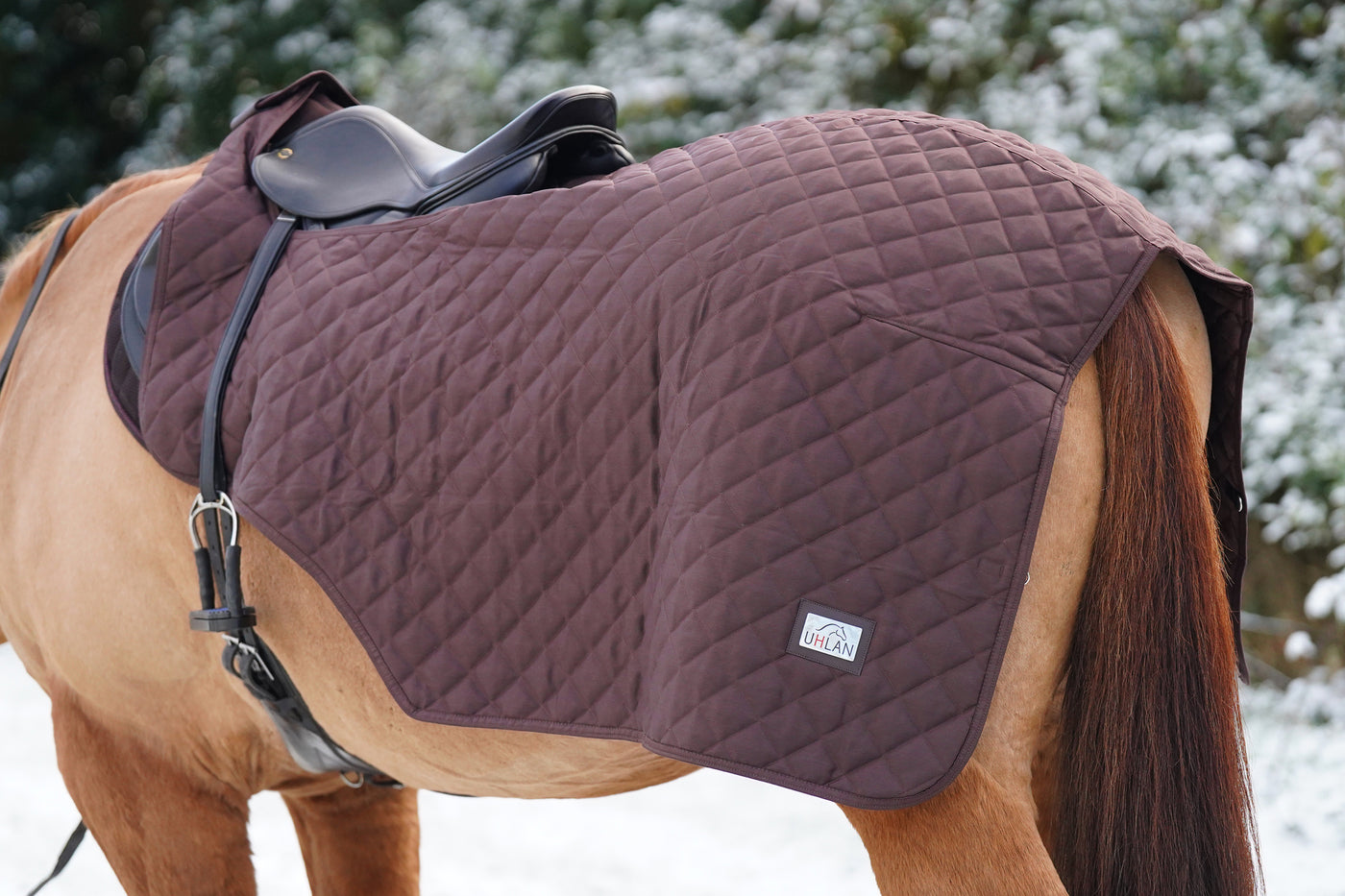 Excerice Sheet Rug Horse Exercise Sheet Rug Ride on rug 160g Fur Lining – Uhlan