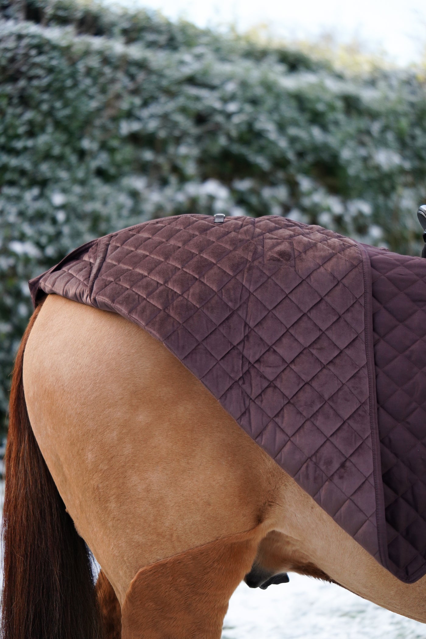 Brown Exercise Quilted Sheet Rug 160g