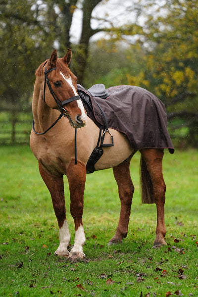 Excerice Sheet Rug Horse Exercise Sheet Rug Ride on rug Fur Lining Waterproof – Uhlan