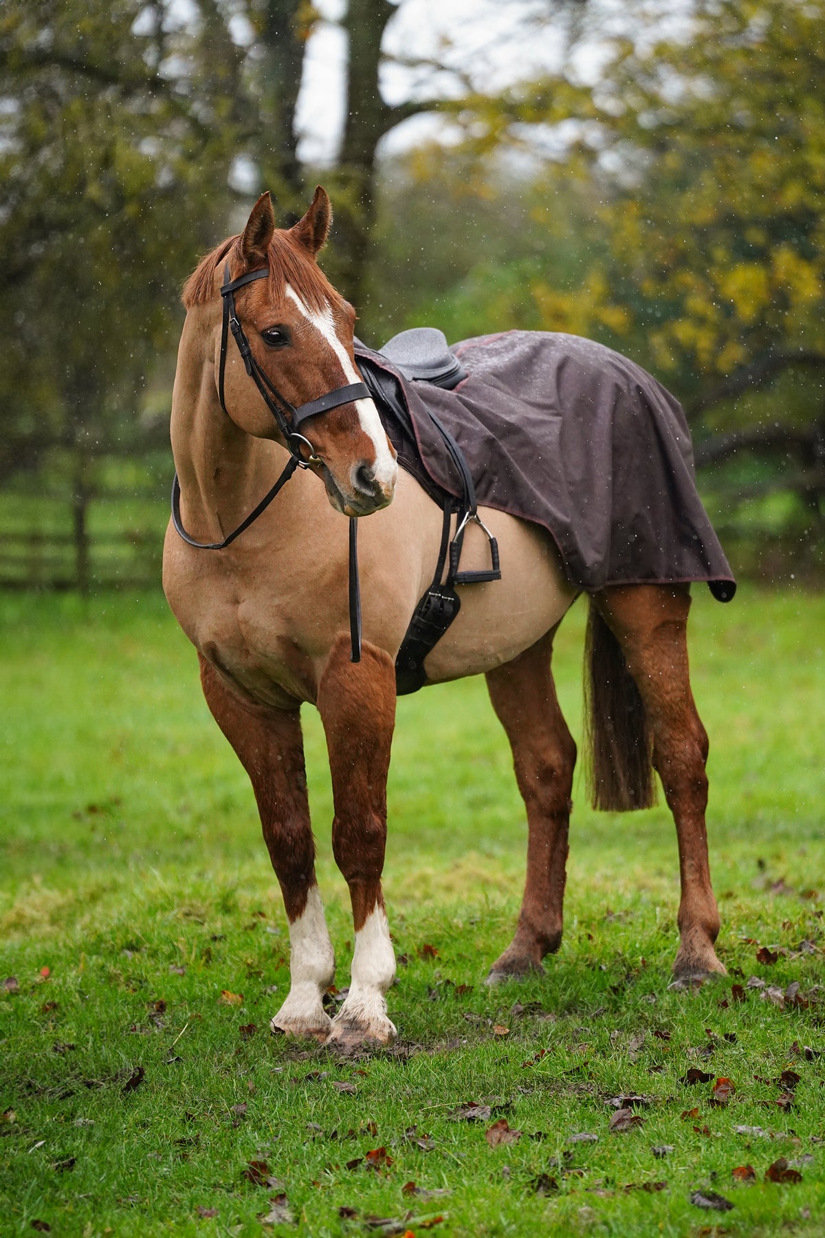 Exercise Rug Horses Horse Exercise Sheet Rug Ride on rug Fur Lining Waterproof – Uhlan