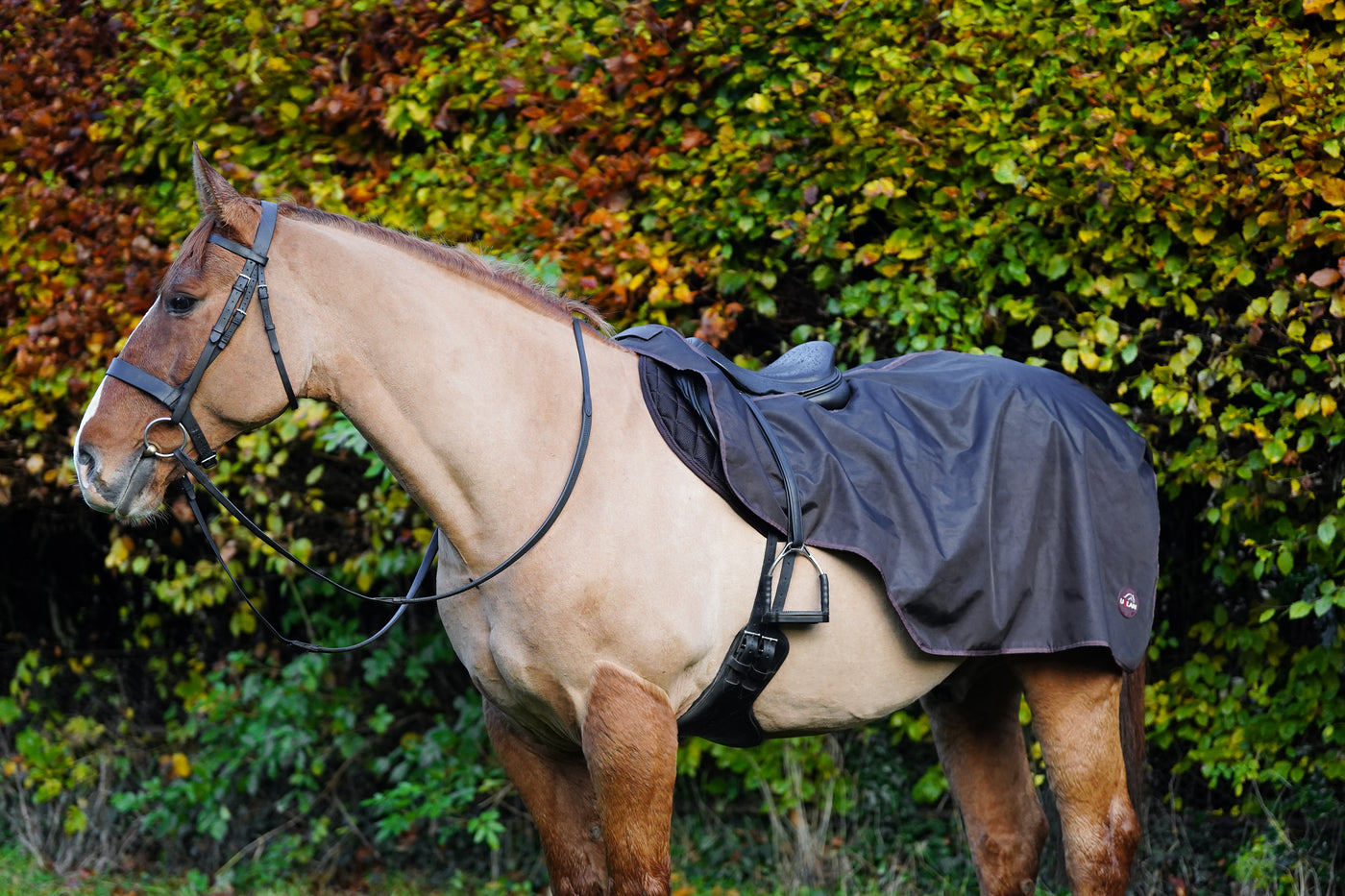 Excerice Sheet Rug Horse Exercise Sheet Rug Ride on rug Fur Lining Waterproof – Uhlan