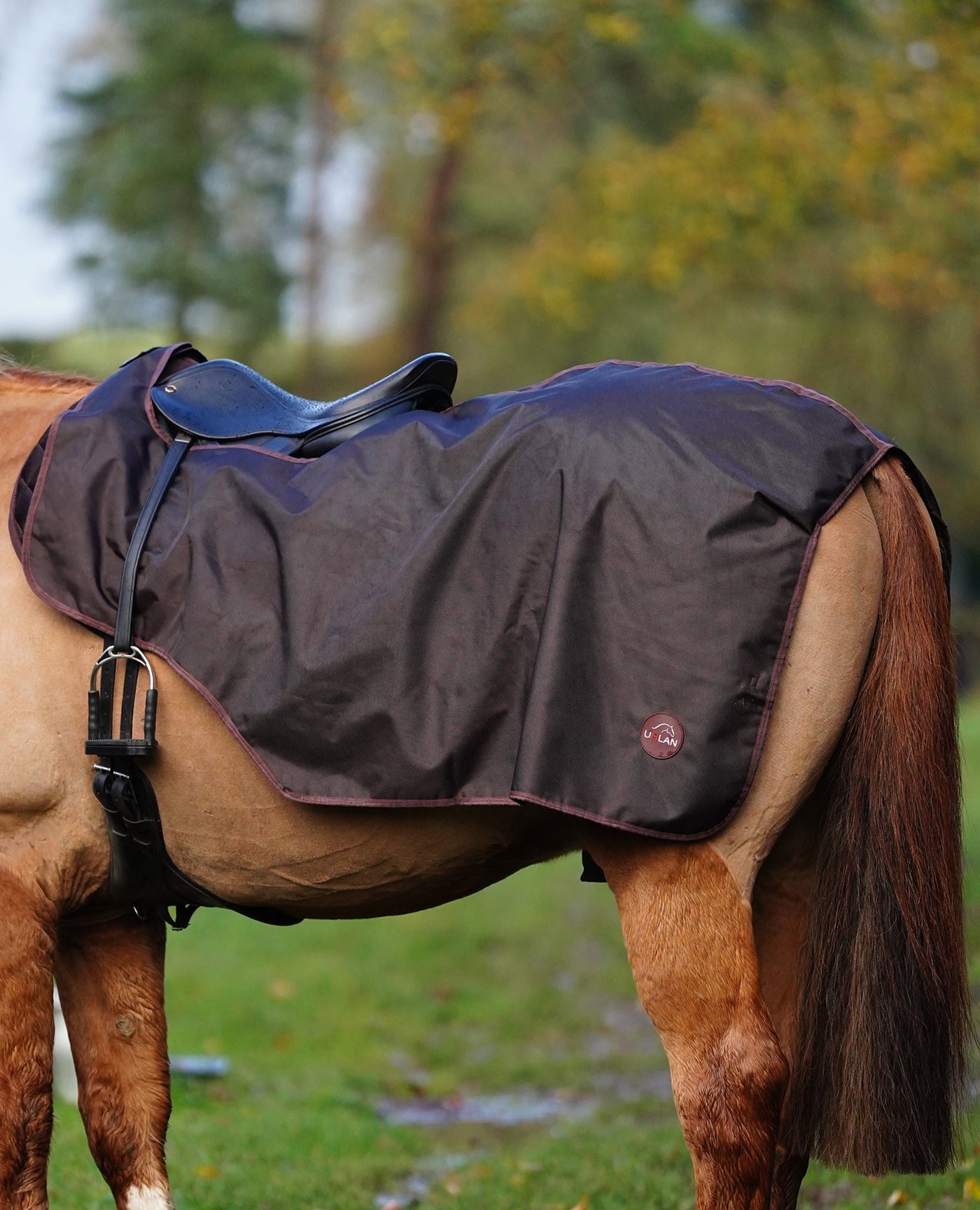 Excerice Sheet Rug Horse Exercise Sheet Rug Ride on rug Fur Lining Waterproof – Uhlan