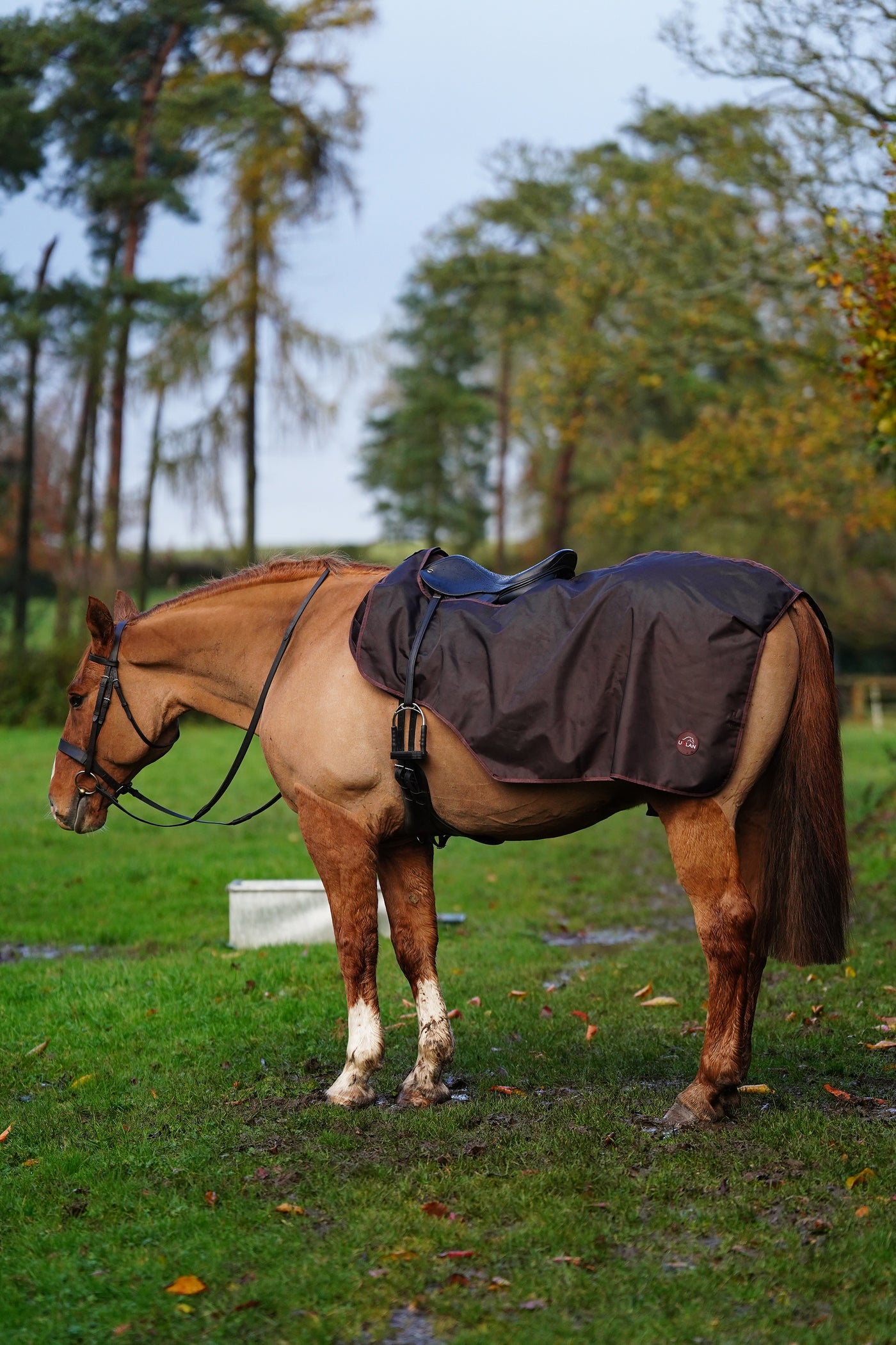 Excerice Sheet Rug Horse Exercise Sheet Rug Ride on rug Fur Lining Waterproof – Uhlan