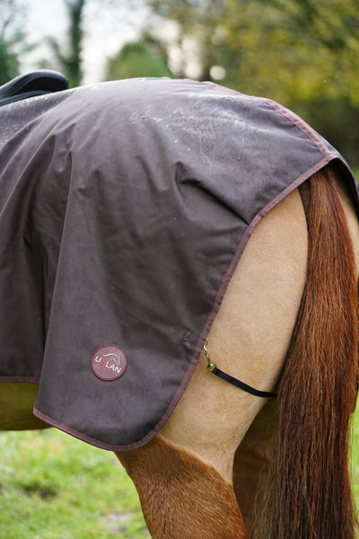 Brown matching horse and dog waterproof rug