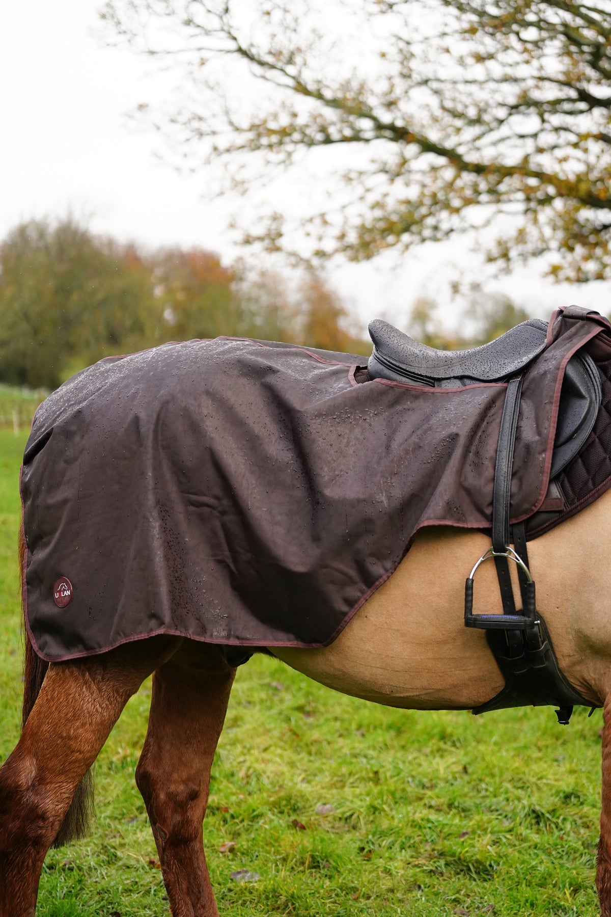 Excerice Sheet Rug Horse Exercise Sheet Rug Ride on rug Fur Lining Waterproof – Uhlan