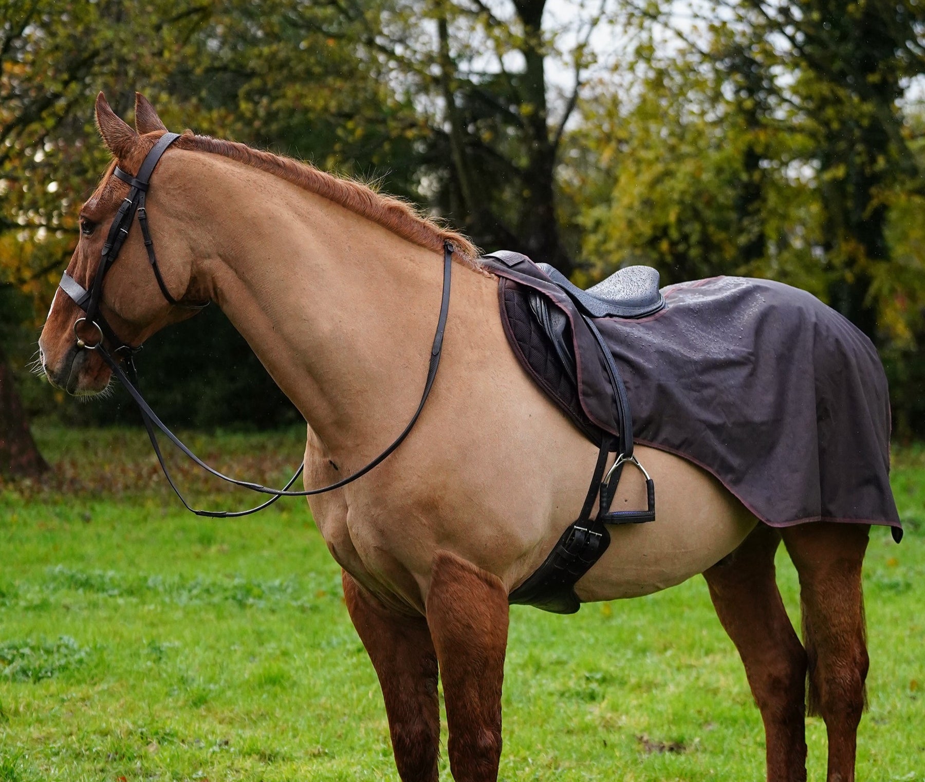 Excerice Sheet Rug Horse Exercise Sheet Rug Ride on rug Fur Lining Waterproof – Uhlan