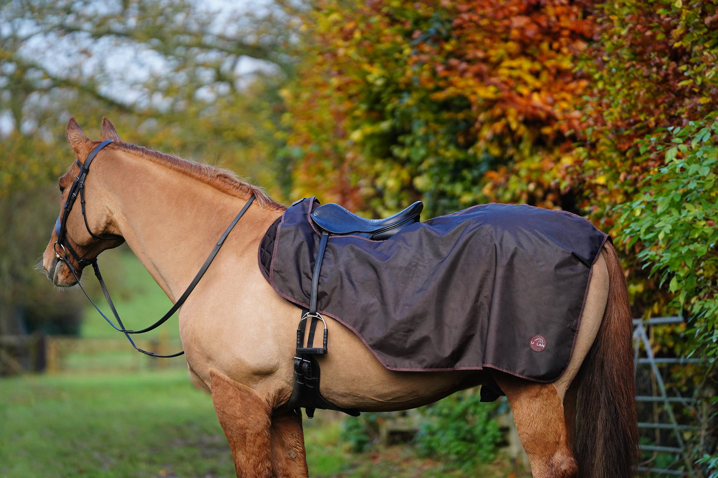 Excerice Sheet Rug Horse Exercise Sheet Rug Ride on rug Fur Lining Waterproof – Uhlan