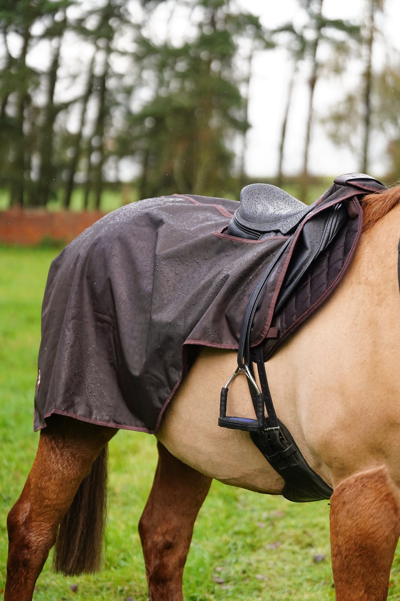 Excerice Sheet Rug Horse Exercise Sheet Rug Ride on rug Fur Lining Waterproof – Uhlan