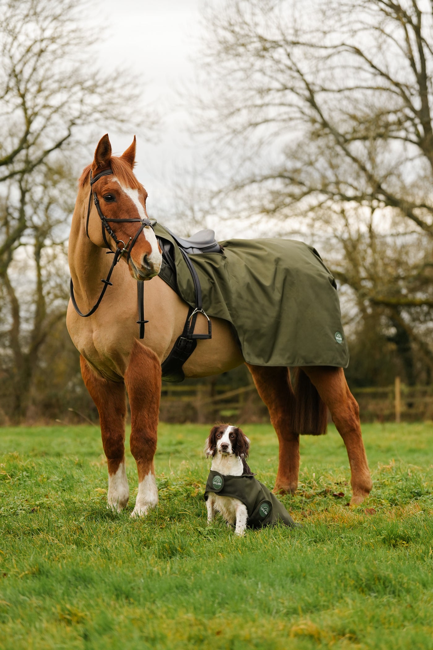 Hunter Green Matching Horse And Dog Waterproof Rug