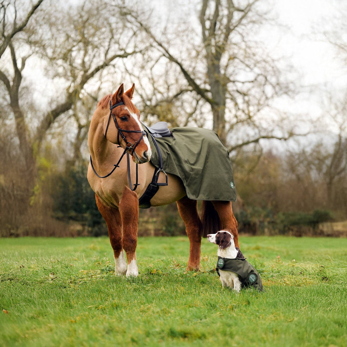 Hunter Green Matching Horse And Dog Waterproof Rug