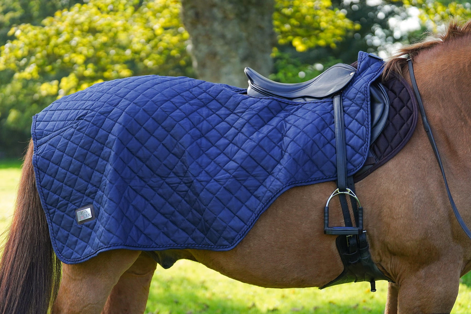 Riding Rug Horse Exercise Sheet Rug Ride on rug 160g – Uhlan