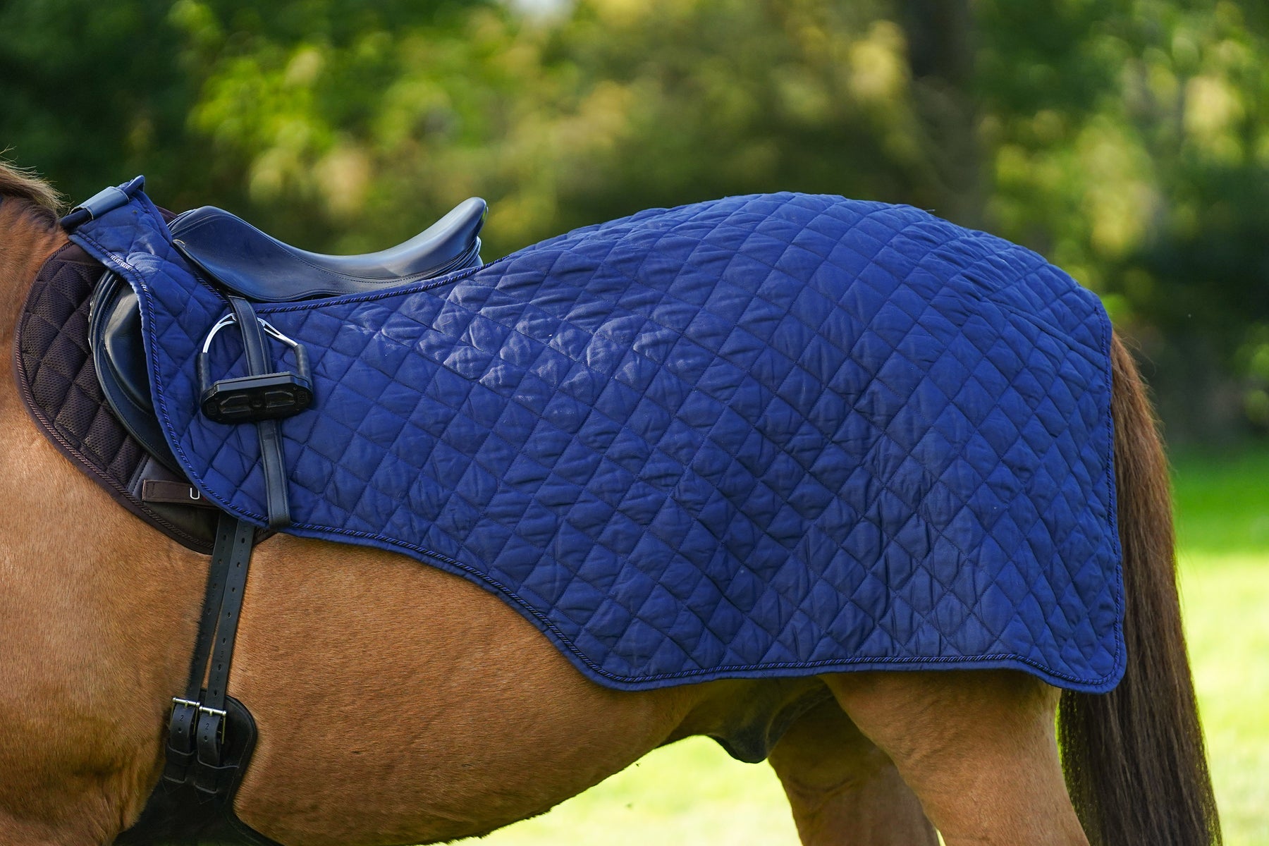Quilted Exercise Rug Horse Exercise Sheet Rug Ride on rug 160g – Uhlan
