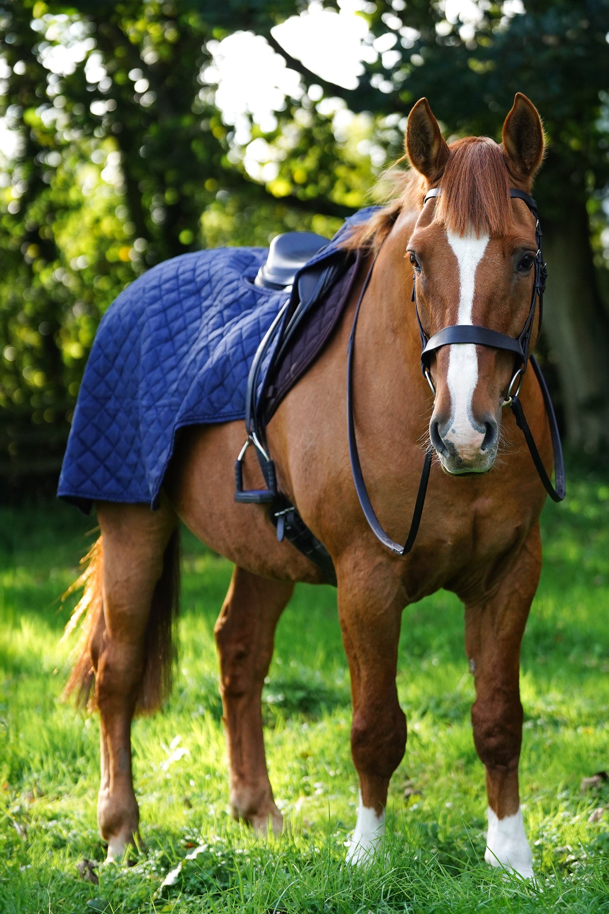 Exercise Rug Horses Horse Exercise Sheet Rug Ride on rug 160g – Uhlan