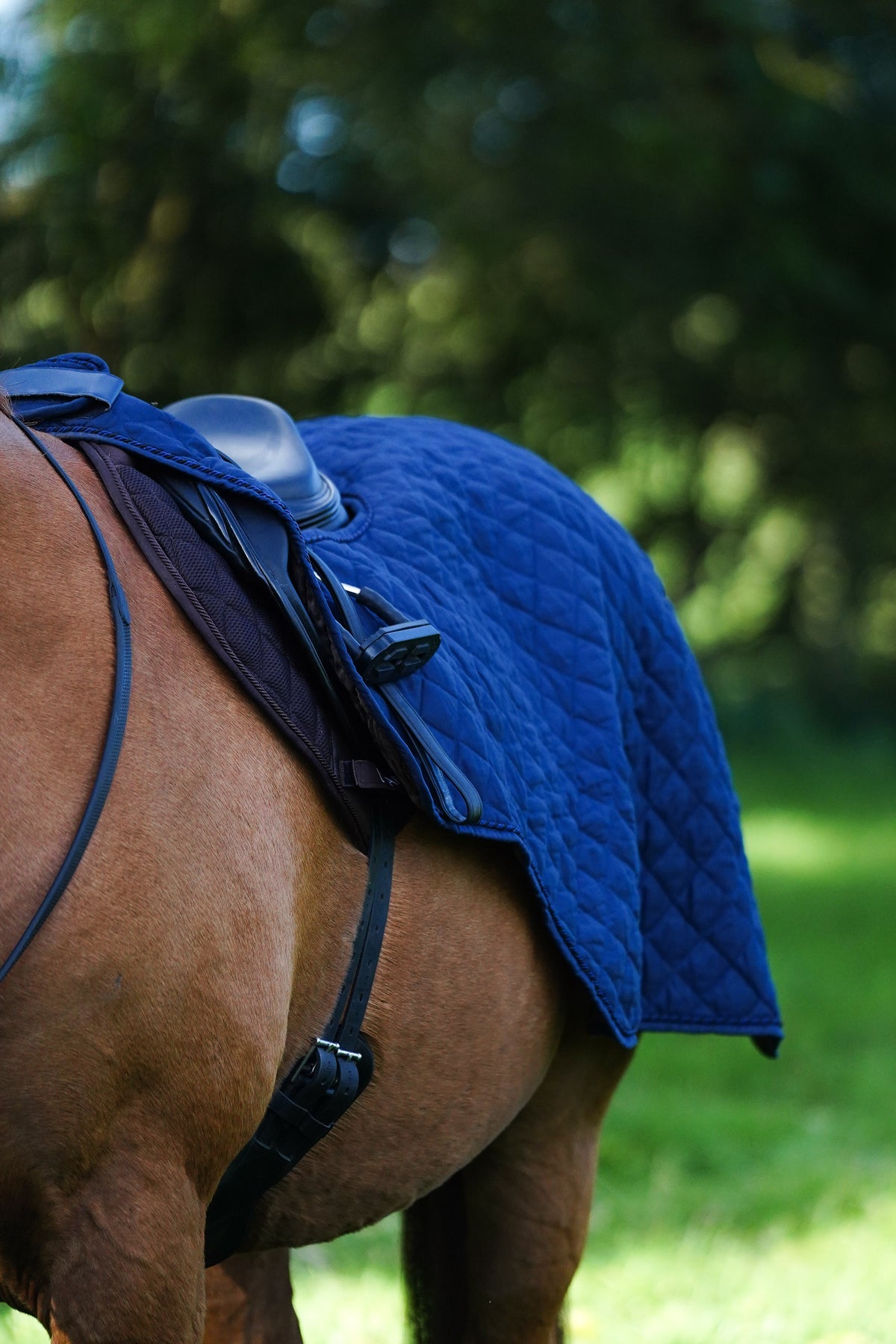 Excerice Sheet Rug Horse Exercise Sheet Rug Ride on rug 160g – Uhlan