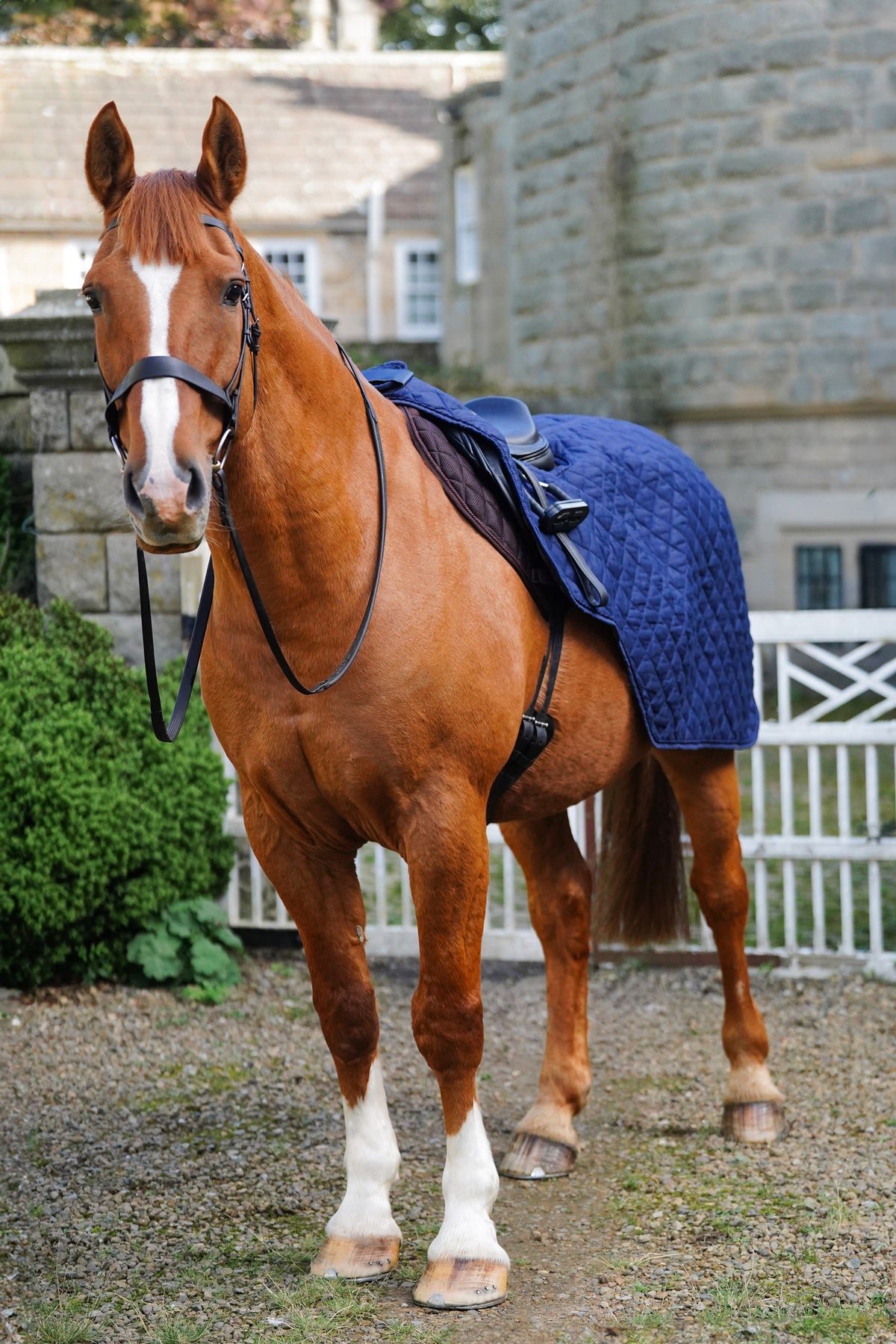 Quilted Exercise Rug Horse Exercise Sheet Rug Ride on rug 160g – Uhlan