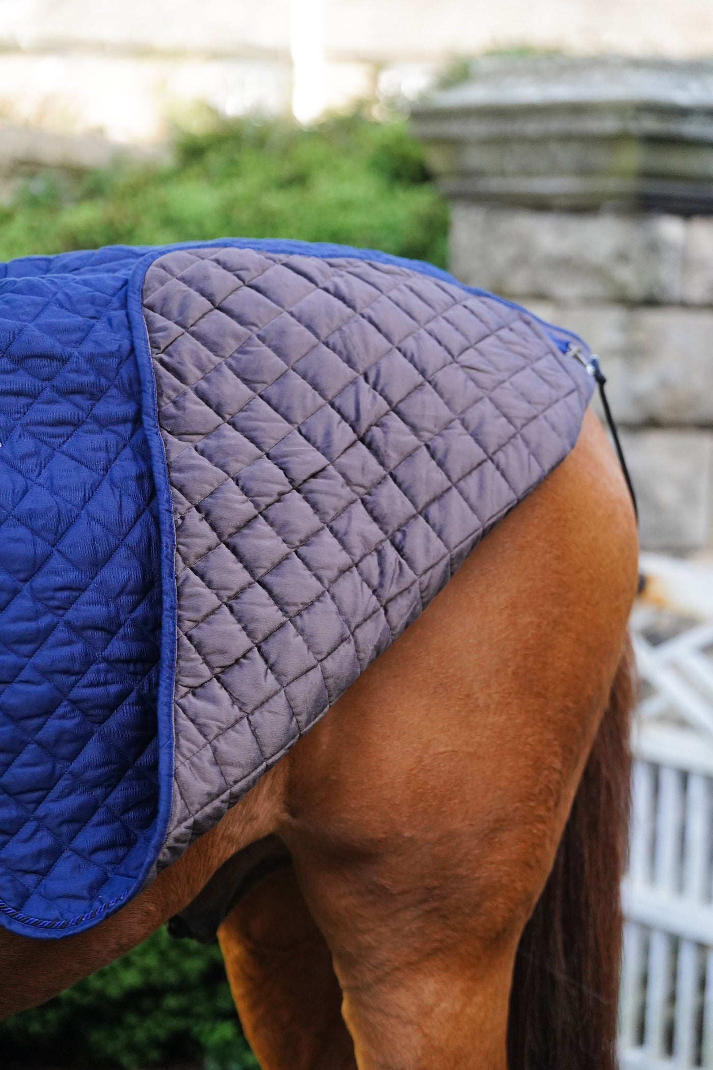 Quilted Exercise Rug Horse Exercise Sheet Rug Ride on rug 160g – Uhlan