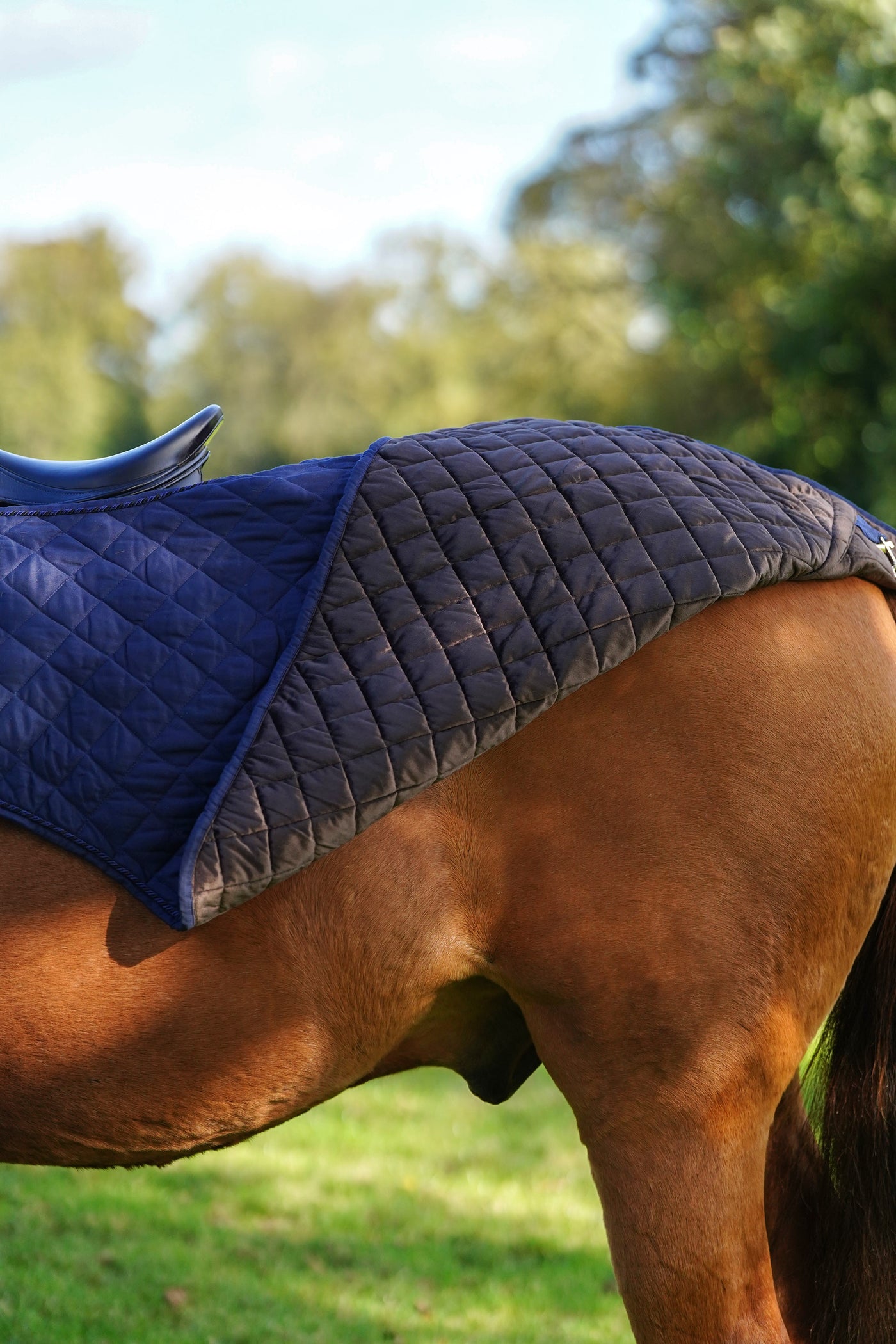 Quilted Exercise Rug Horse Exercise Sheet Rug Ride on rug 160g – Uhlan