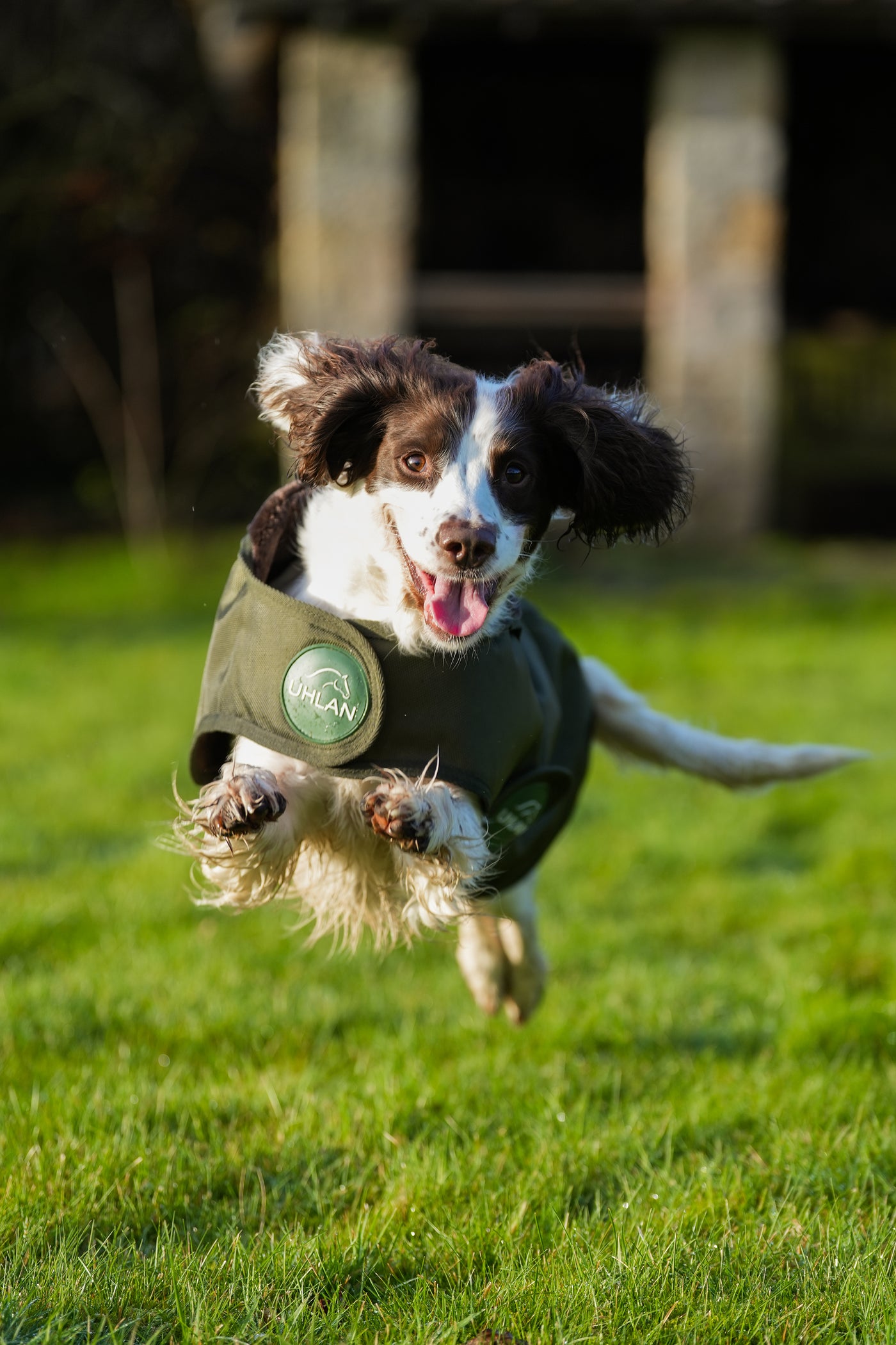 Hunter Green Waterproof Dog Coat