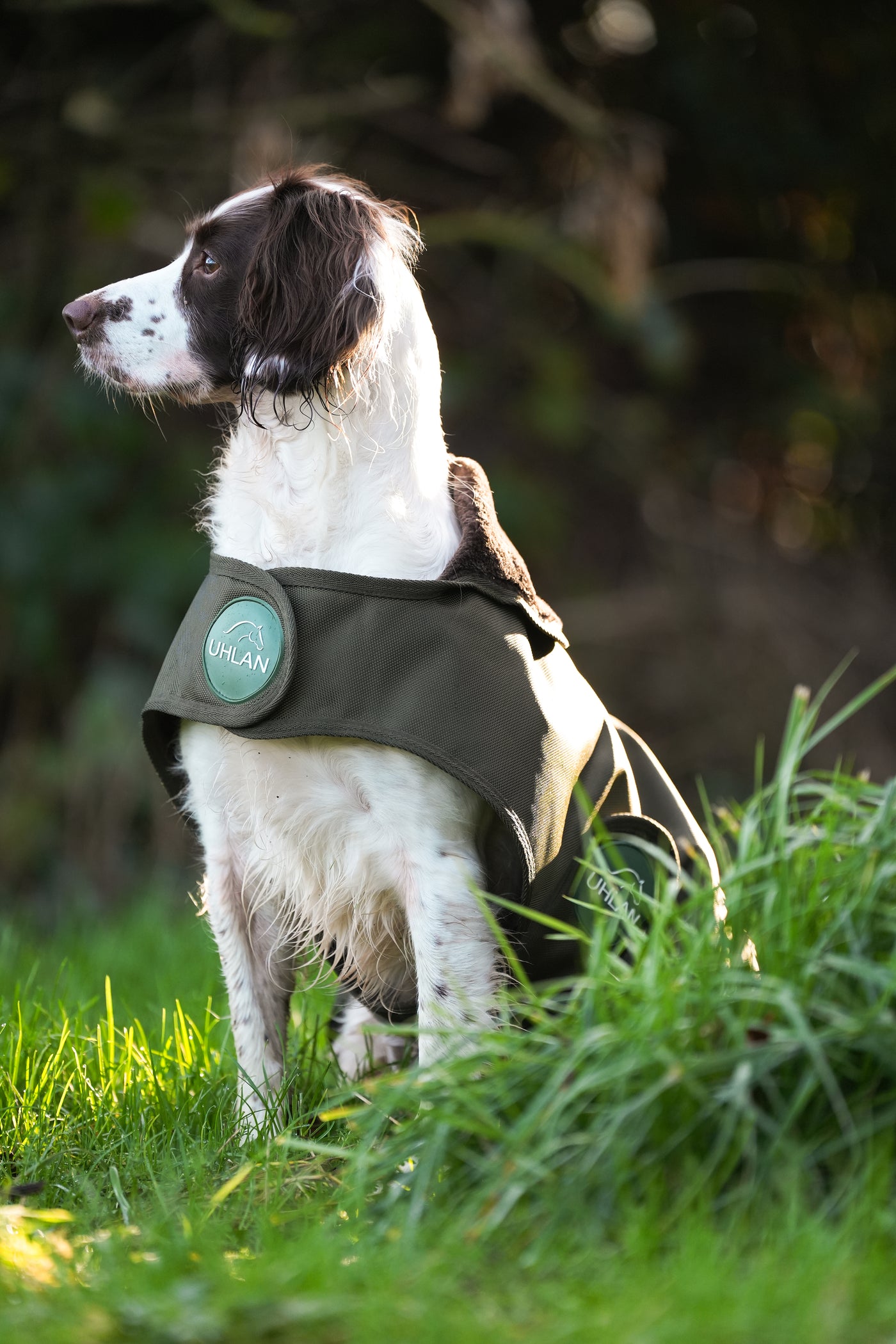 Hunter Green Waterproof Dog Coat