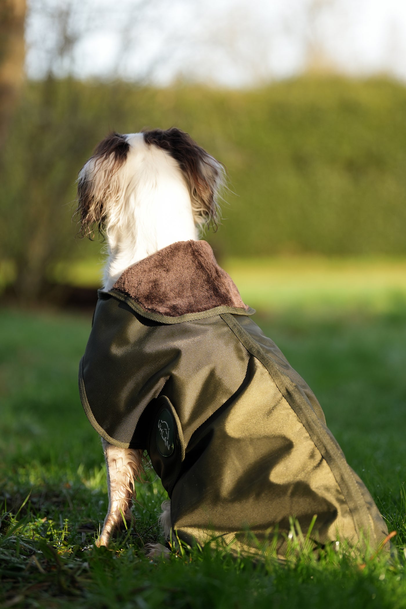 Hunter Green Waterproof Dog Coat