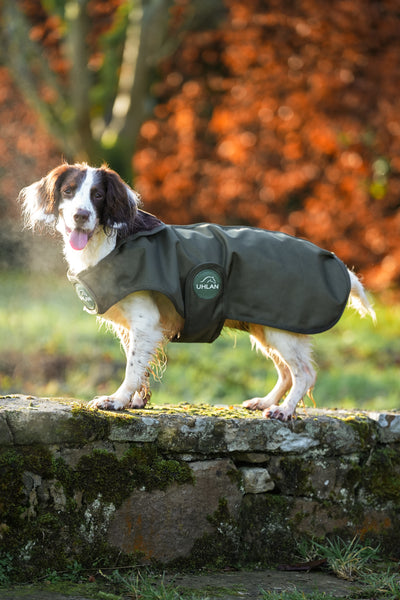 Hunter Green Waterproof Dog Coat