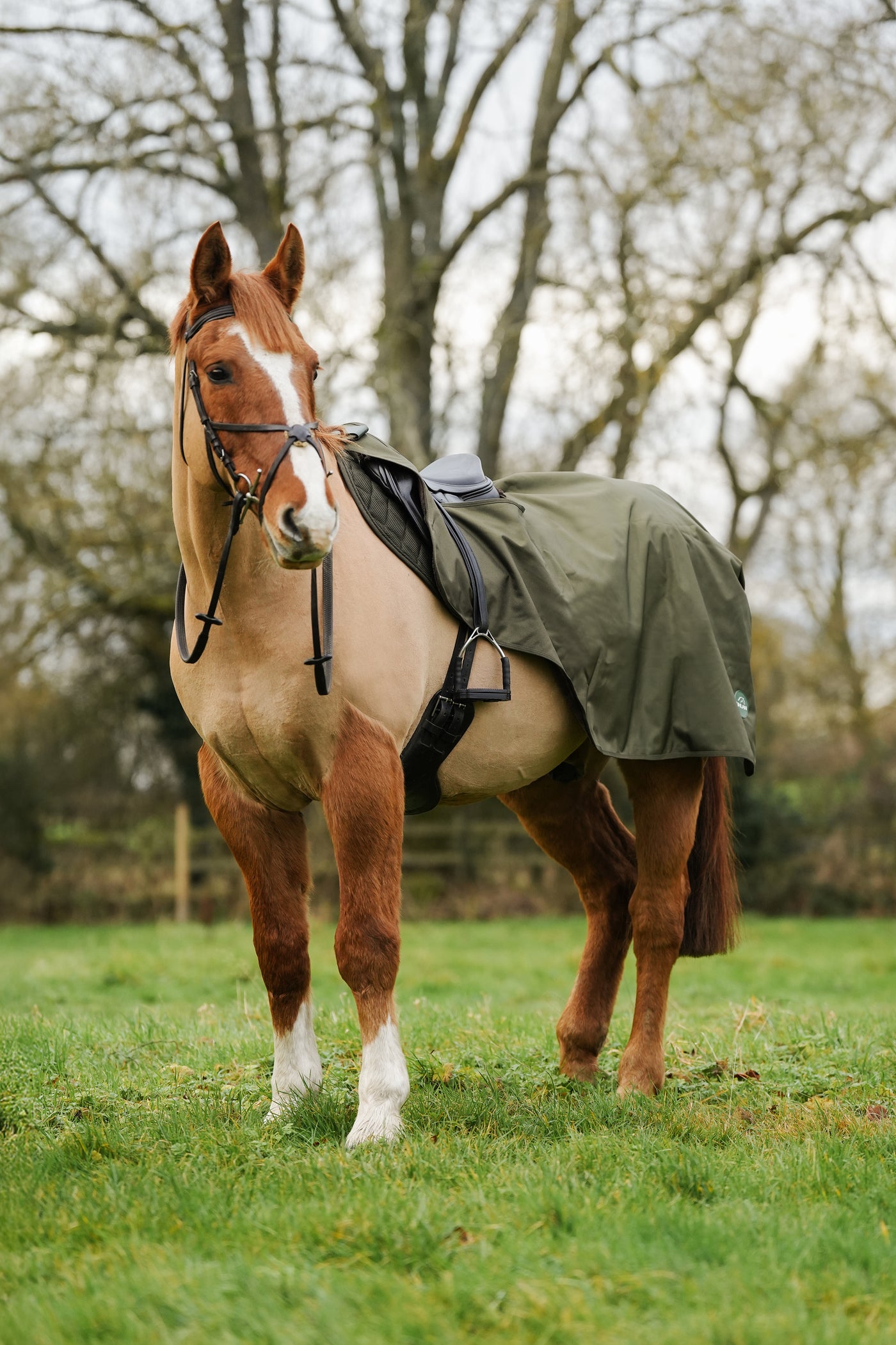 Hunter Green Waterproof Exercise Sheet Rug