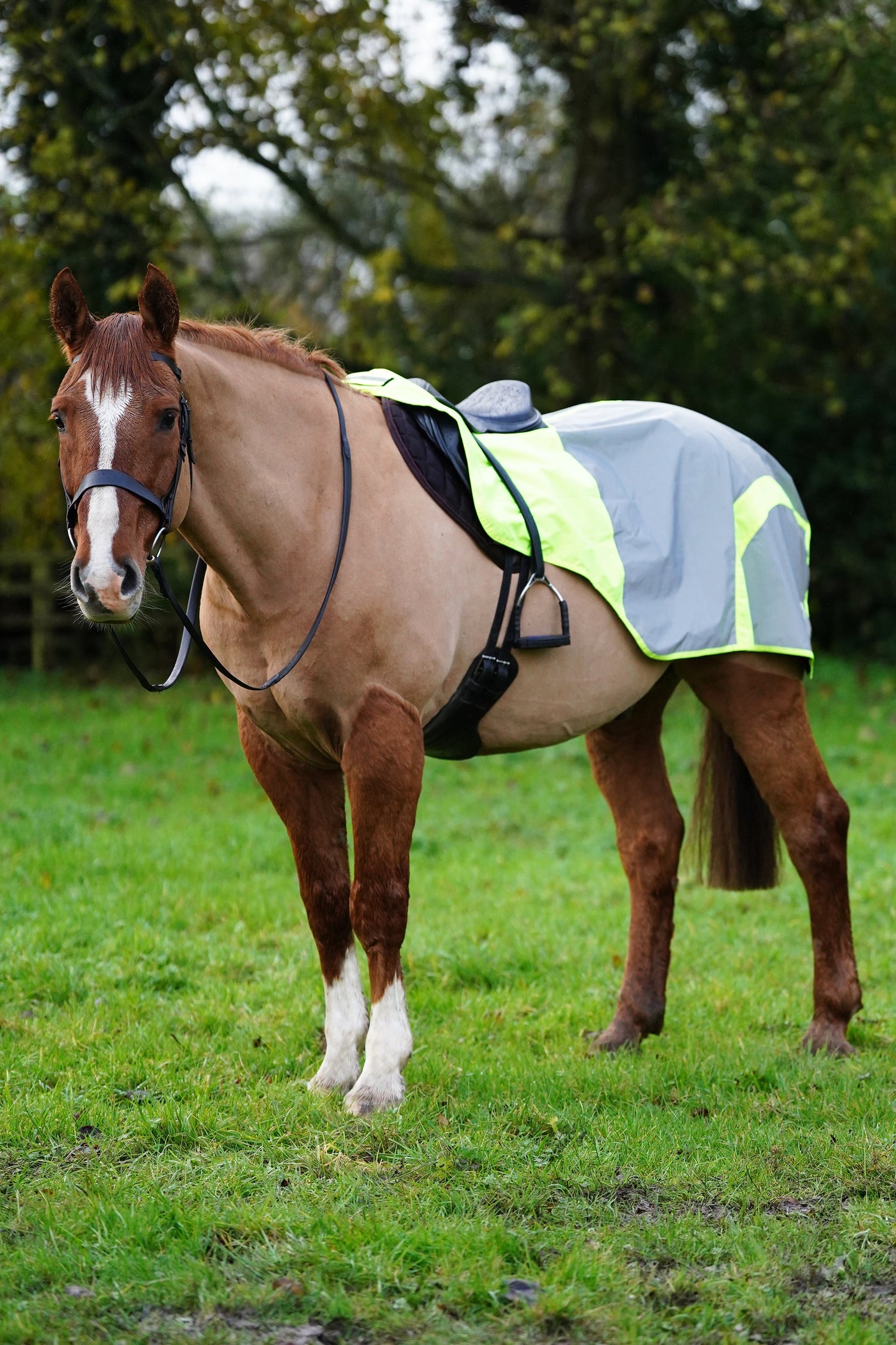 SAMPLE Yellow Hi Viz Reflected Waterproof Exercise Sheet Rug - FUR LINING