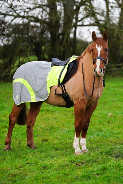 SAMPLE Yellow Hi Viz Reflected Waterproof Exercise Sheet Rug - FUR LINING