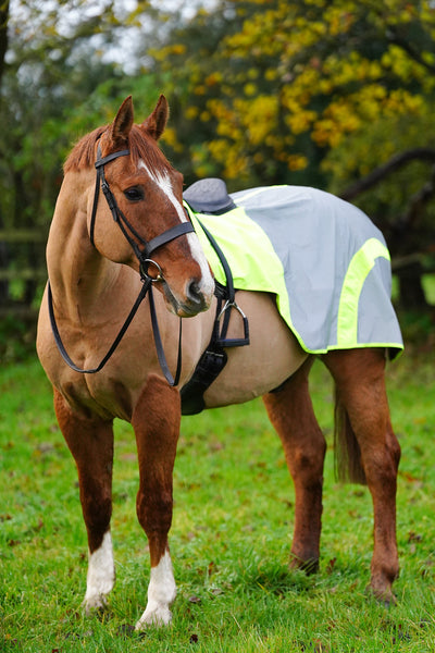 SAMPLE Yellow Hi Viz Reflected Waterproof Exercise Sheet Rug - FUR LINING