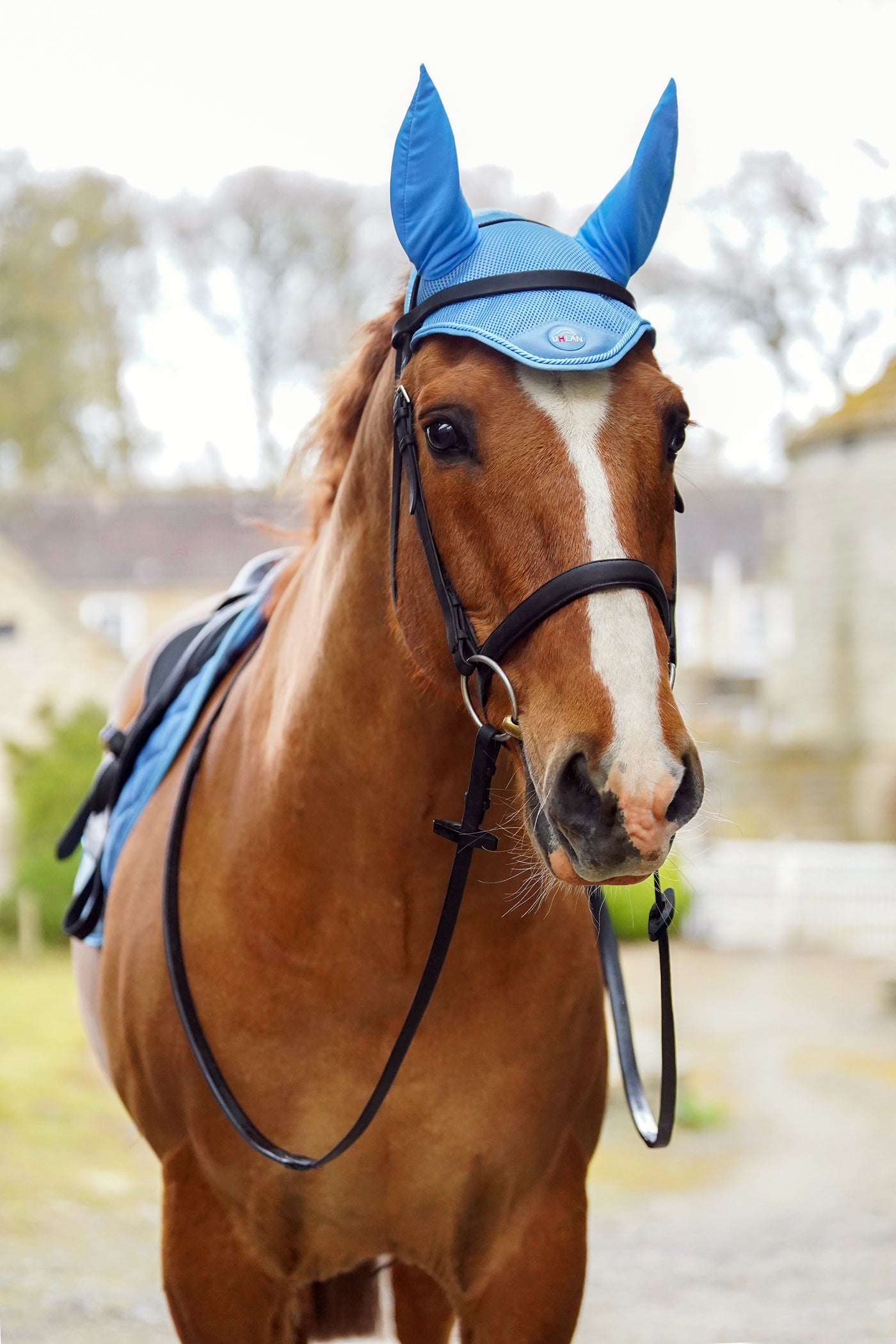 Baby Blue Airflow Saddle Pad GP/Jump + Fly Veil Bundle