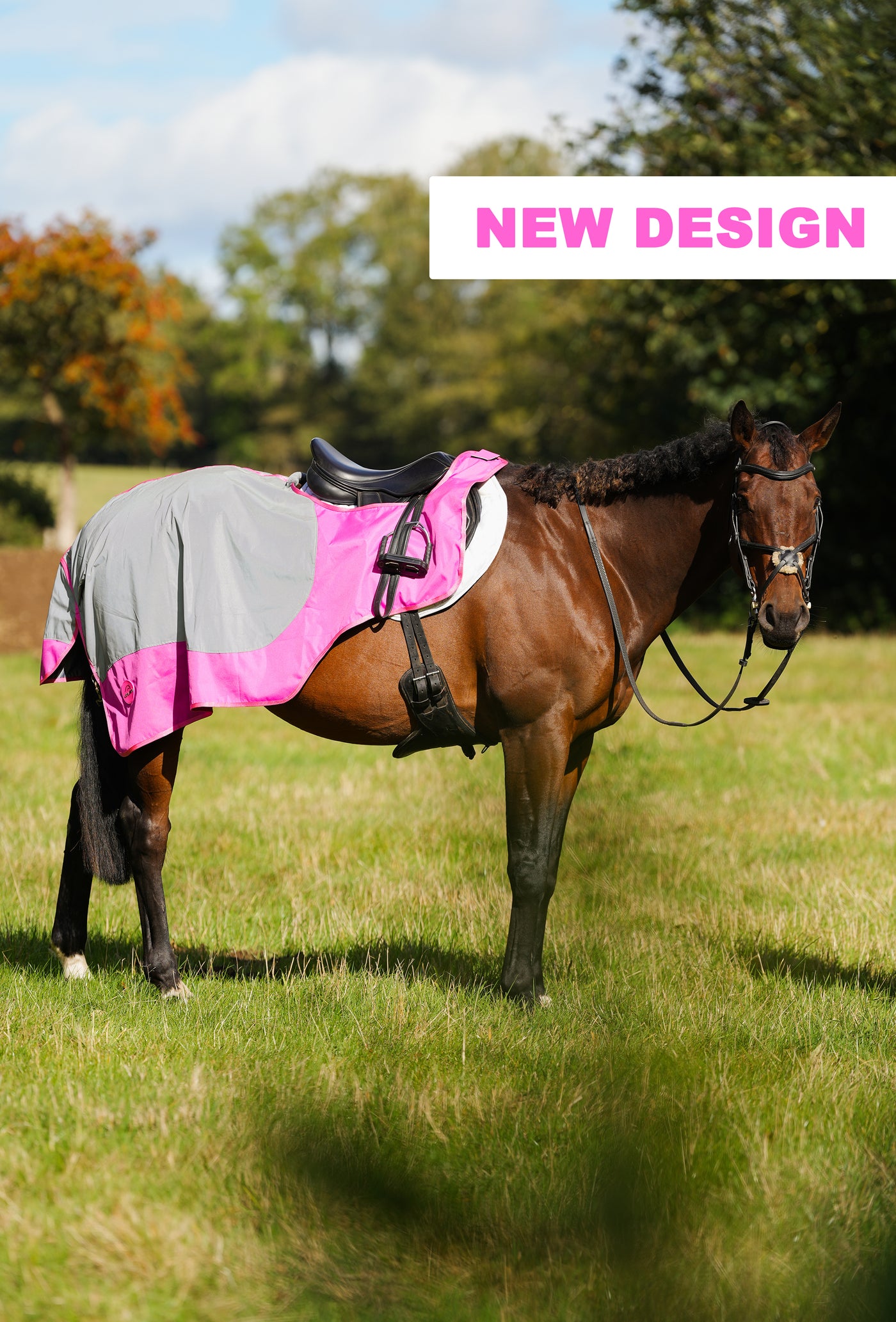 Pink Hi Viz Reflected Waterproof Exercise Sheet Rug