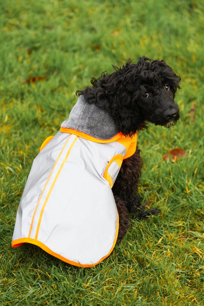 Orange Hi Viz Waterproof Dog Coat