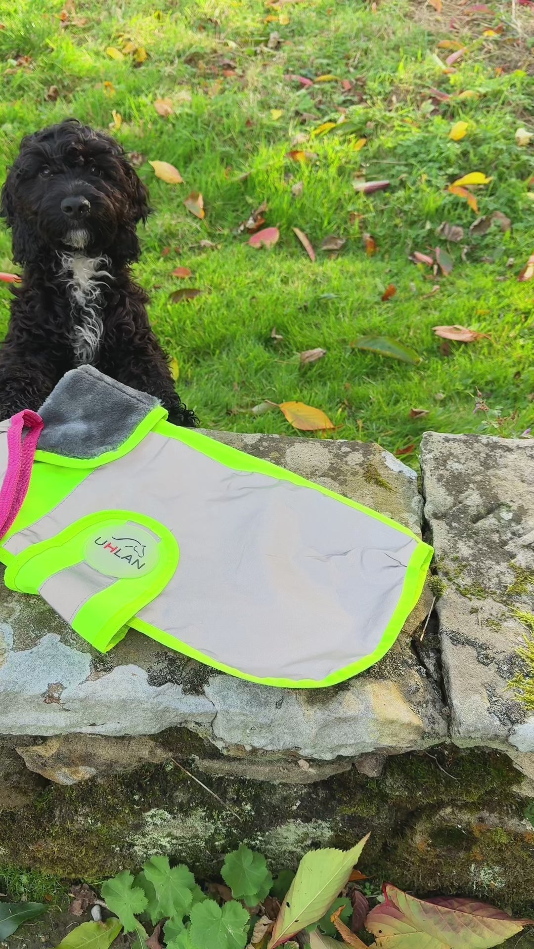 Pink Hi Viz Waterproof Dog Coat